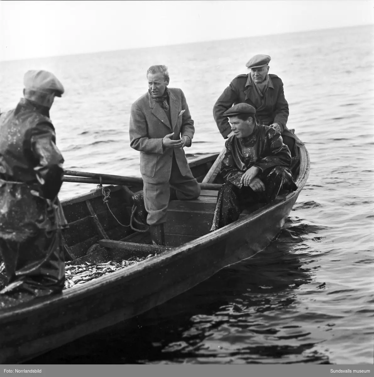 Strömmingsfiske vid Löran med landshövding Eric Wesström.