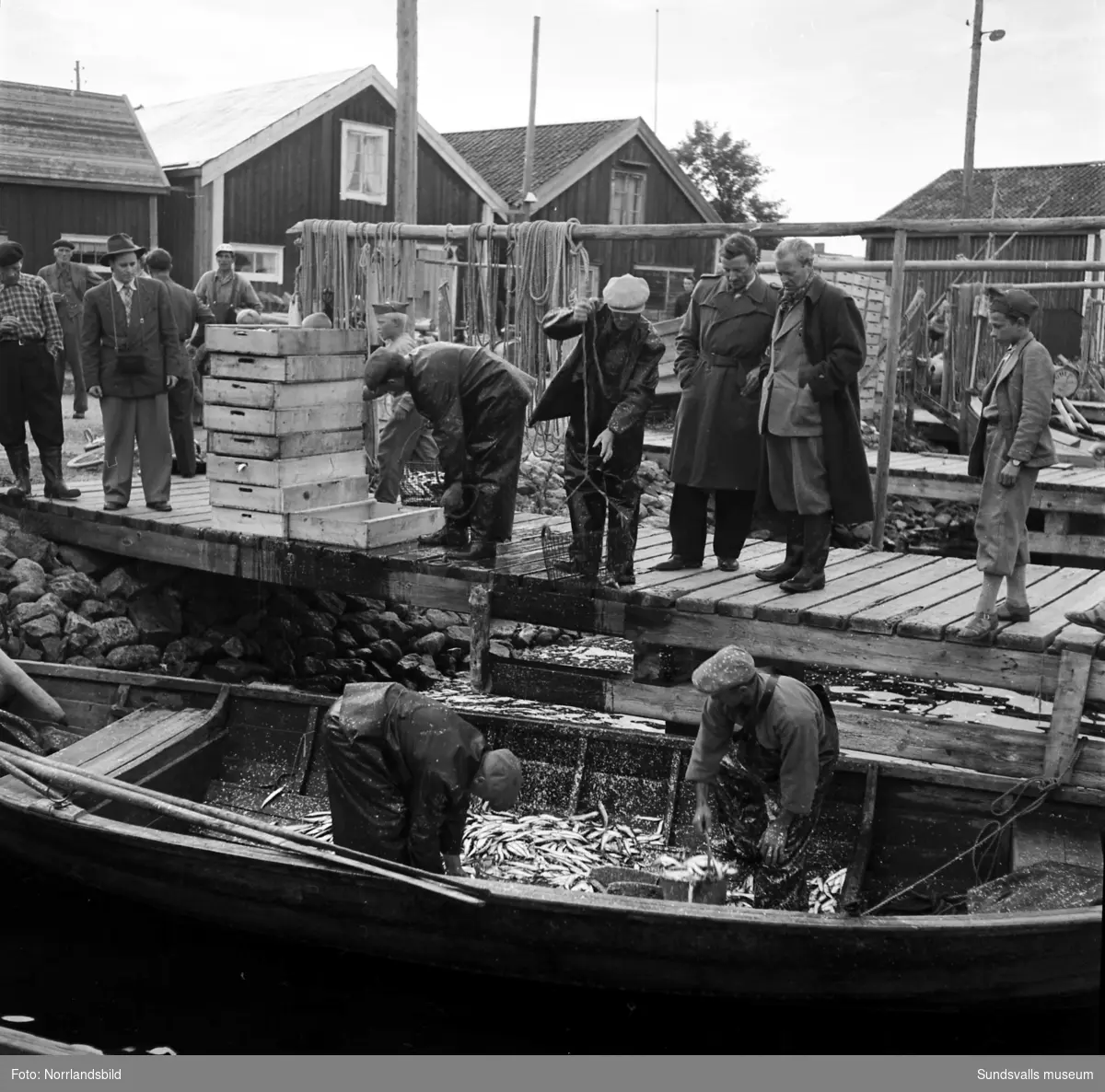Strömmingsfiske vid Löran med landshövding Eric Wesström.