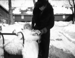 Fotoarkivet etter Gunnar Knudsen. Ant. Gunnar Knudsens sønne