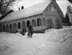 Fotoarkivet etter Gunnar Knudsen. En kvinne med to hunder. H