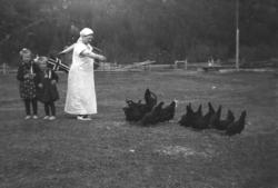 Kathinka mater hønene på jordet til Mikkelsnes. Småjentene I