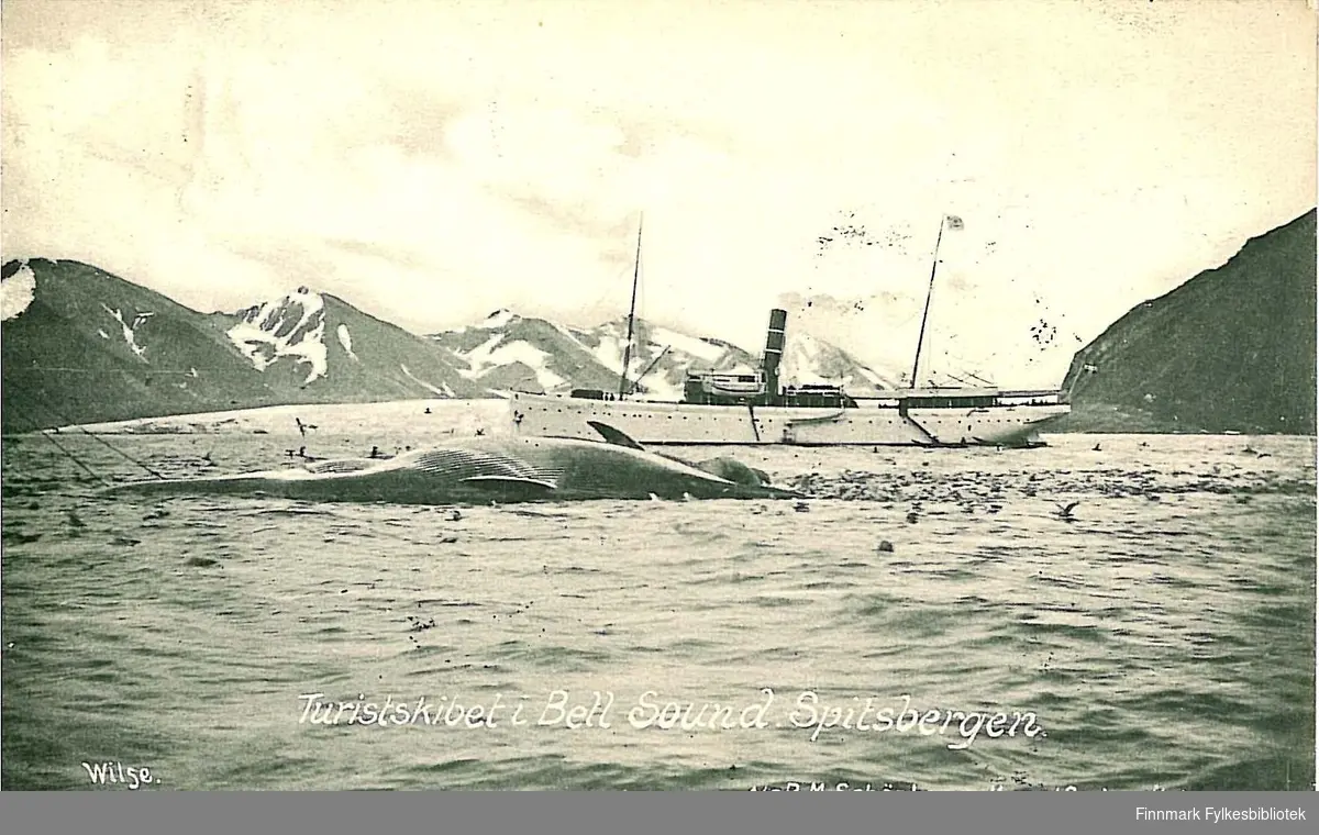 Postkort med motiv fra Spitsbergen med et turistskip i Bell Sound foran en hvalskrott som ligger på sjøen. Kortet er en julehilsen sendt fra Tromsø i 1908 til Arthur Buck m/familie på Hasvik.