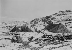 Tysk vinterleir 1941