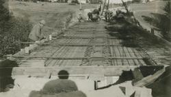 Album fra 1929-1943.  Ukjent sted i Aust-Agder fylke, i følg