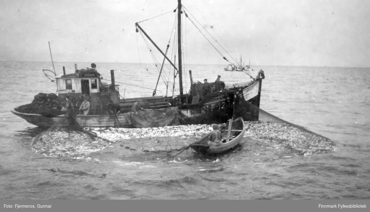 En fiskeskøyte ligger med seinota ute. En lettbåt med en person ombord ligger litt bortenfor skøytaog flere personer jobber på dekk med å hale nota. Personer og båt er ukjent, men bildet er tatt øst for Nordkapp våren 1948.