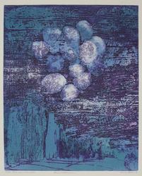 Himmelblomster [Grafikk]