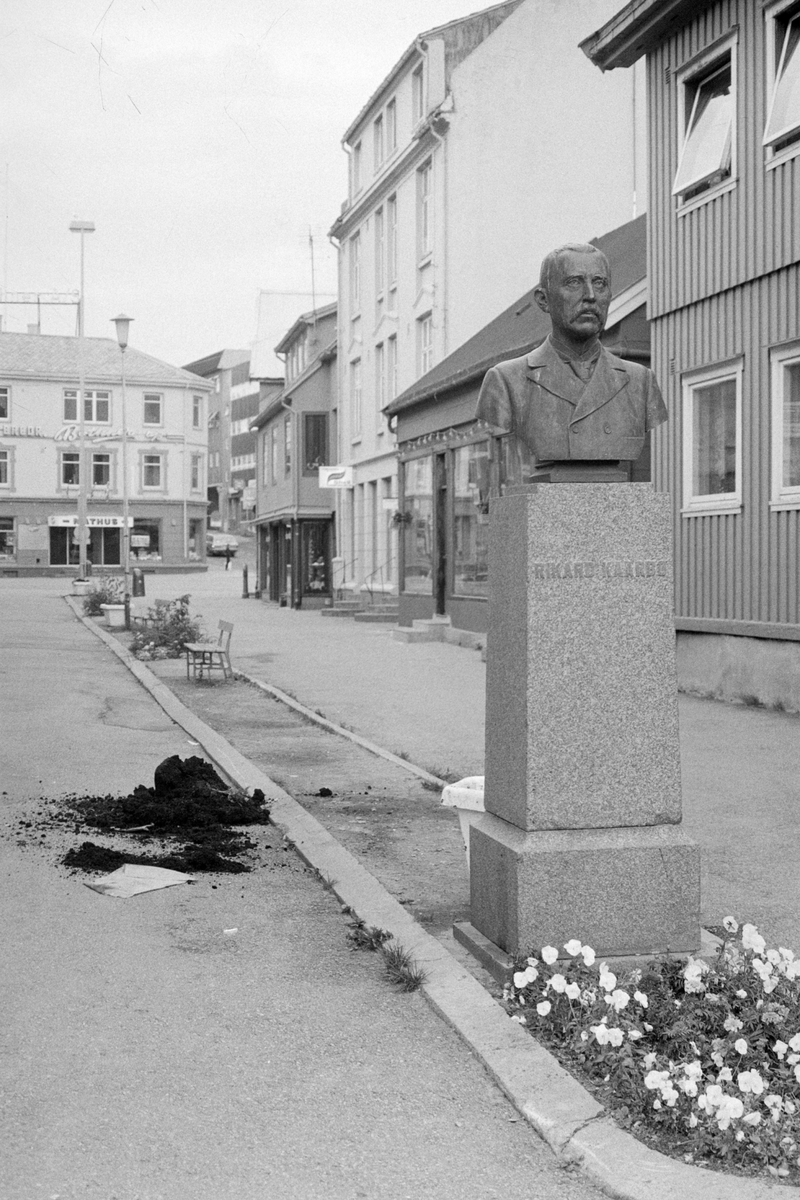 Blomsterpotte kastet i bakken i gågata. Rikard Kaarbø-bysten i forgrunnen.