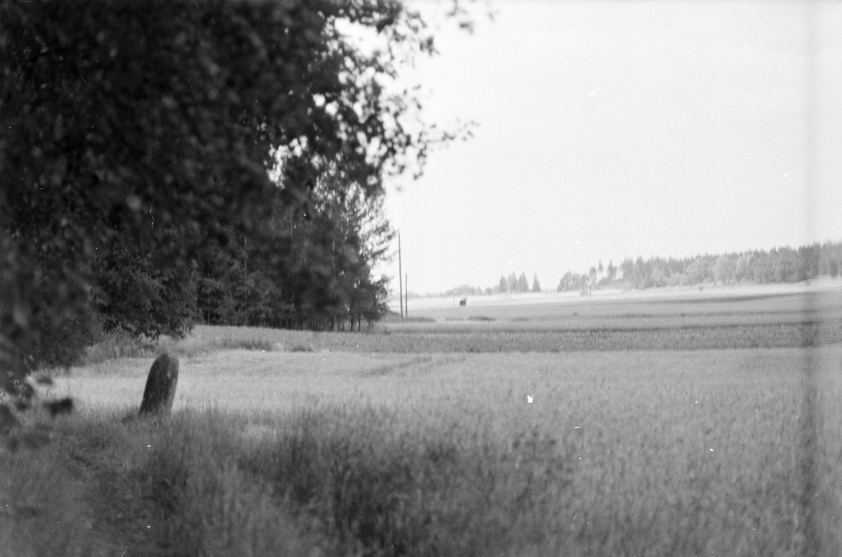Runsten, Läby socken, Uppland 1975