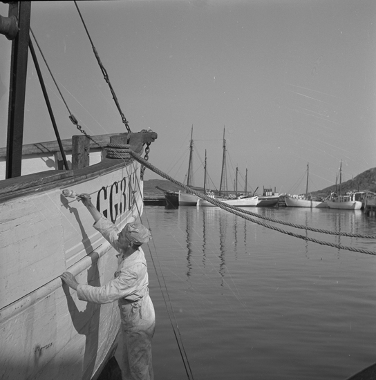 Samtidigt förvärvat: UMFA55076: 0001-0720