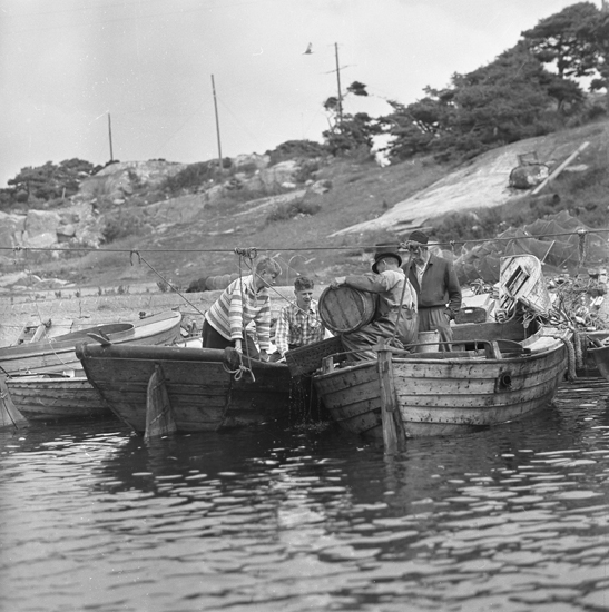 Samtidigt förvärvat: UMFA55076: 0001-0720