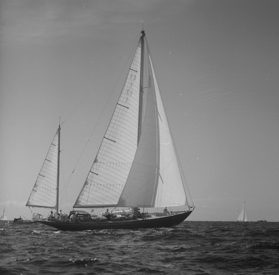 "Scaiv- Race Marstrand 1960".