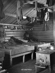 Koieinteriør, antakelig fotografert i andre halvdel av 1920-