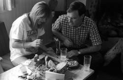 Fluebinding i interiør.