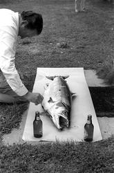 Fangst med person(er).