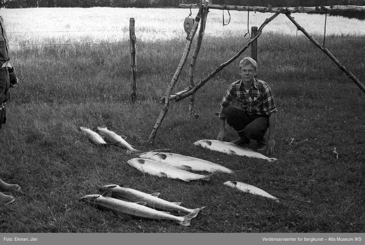 Fangst med personer.

Fotografert 1979,

Fotoserie: Laksefiske i Altaelva i perioden 1970-1988 (av Jan Ekman).
