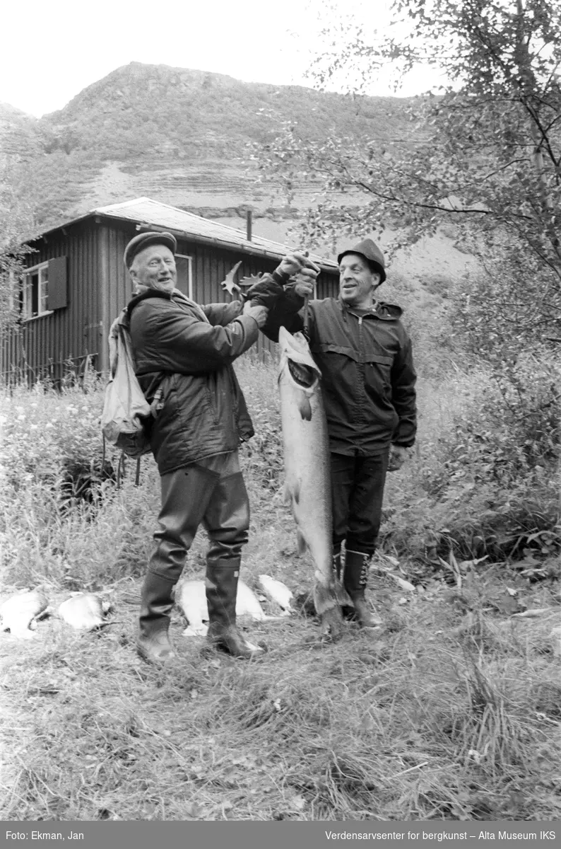 Fangst med personer.

Fotografert 1972.

Fotoserie: Laksefiske i Altaelva i perioden 1970-1988 (av Jan Ekman).
