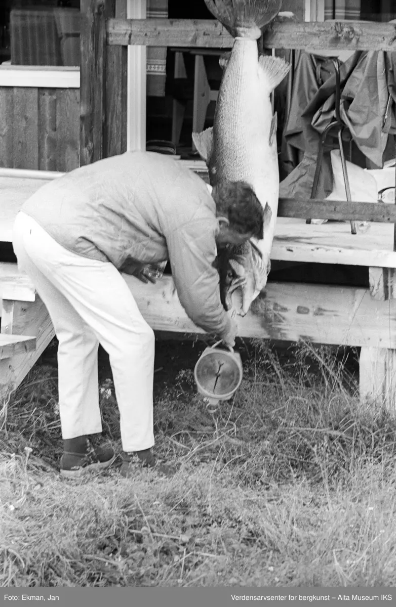 Fangst med personer.
Fotografert 1970.
Fotoserie: Laksefiske i Altaelva i perioden 1970-1988 (av Jan Ekman).
