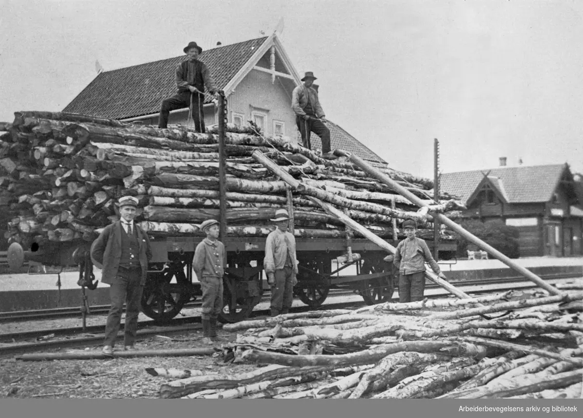 Lessing av bjørk på Grinder stasjon, 1915.