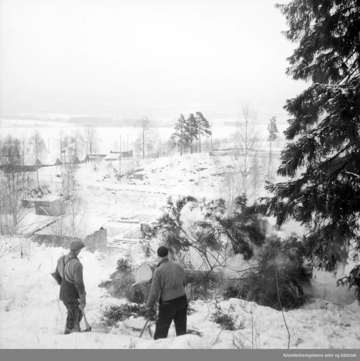 Skogsarbeidere. Oslomarka. Ingen ytterligere oppl. 1951 - 1952.