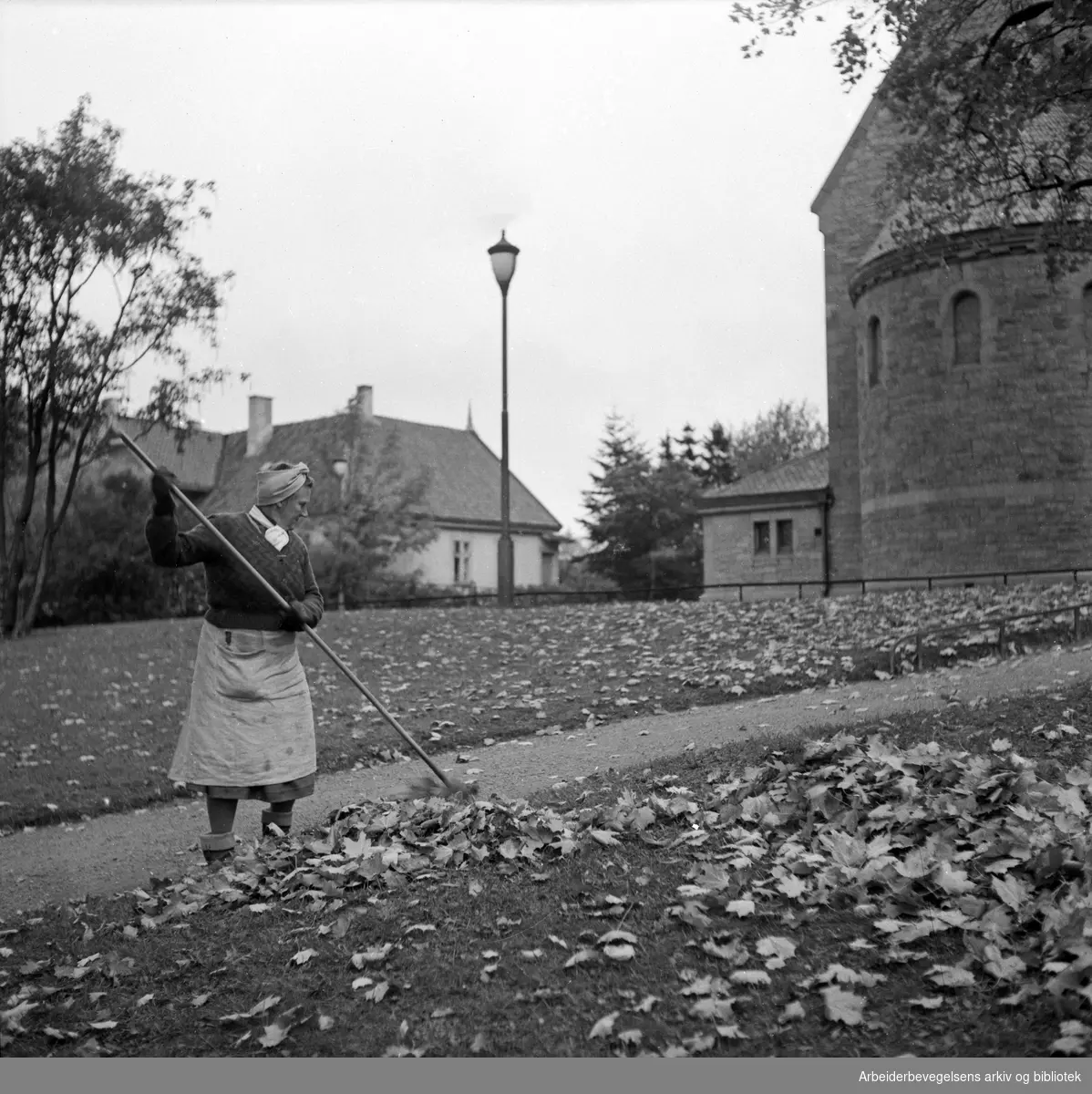Karin Solheim raker løv utenfor Vålerenga kirke. Oktober 1951.