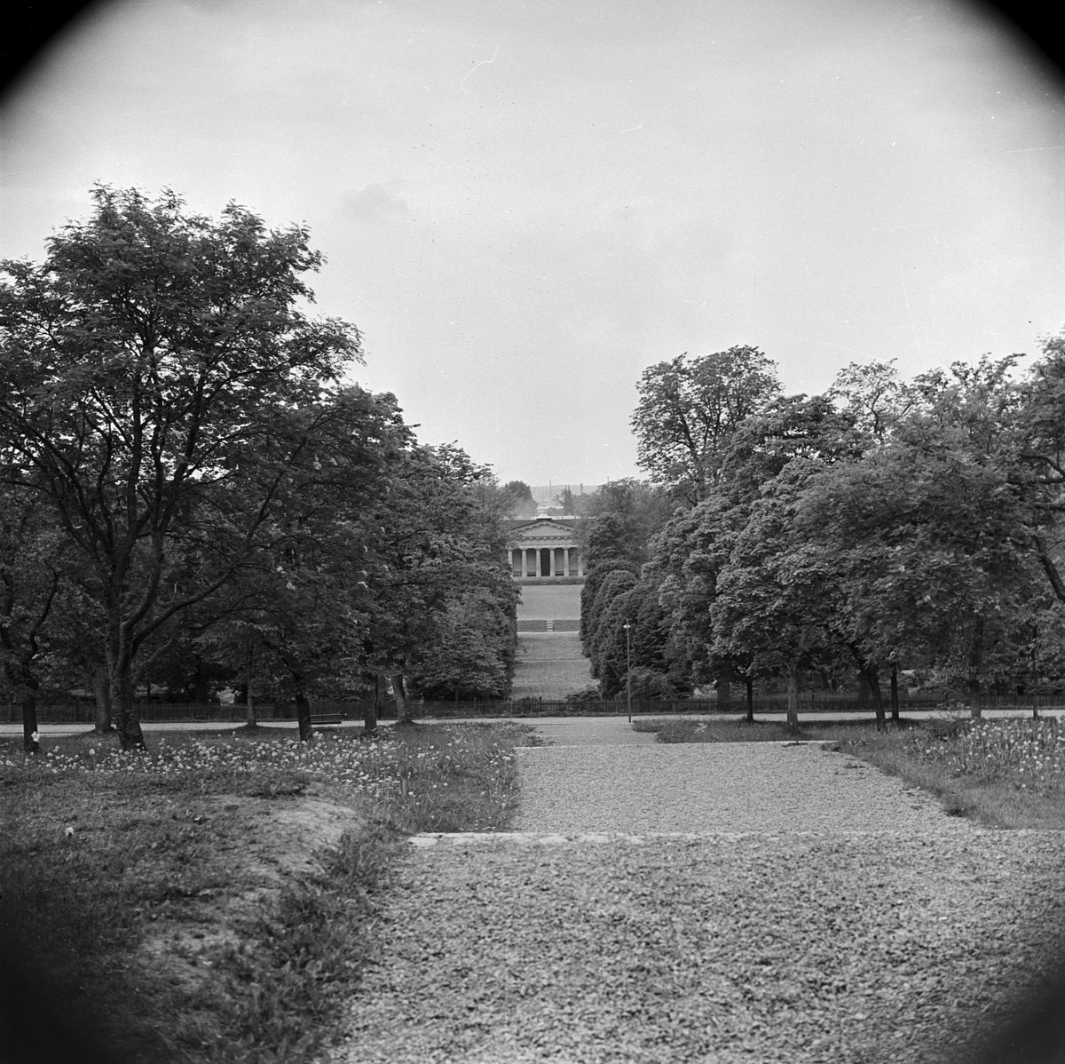 Botaniska trädgården, vacker bild från slottsterasserna, Uppsala 1955