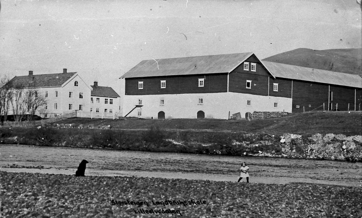 gårdstun, hus, fjøs, landbruksskole, Storsteigen