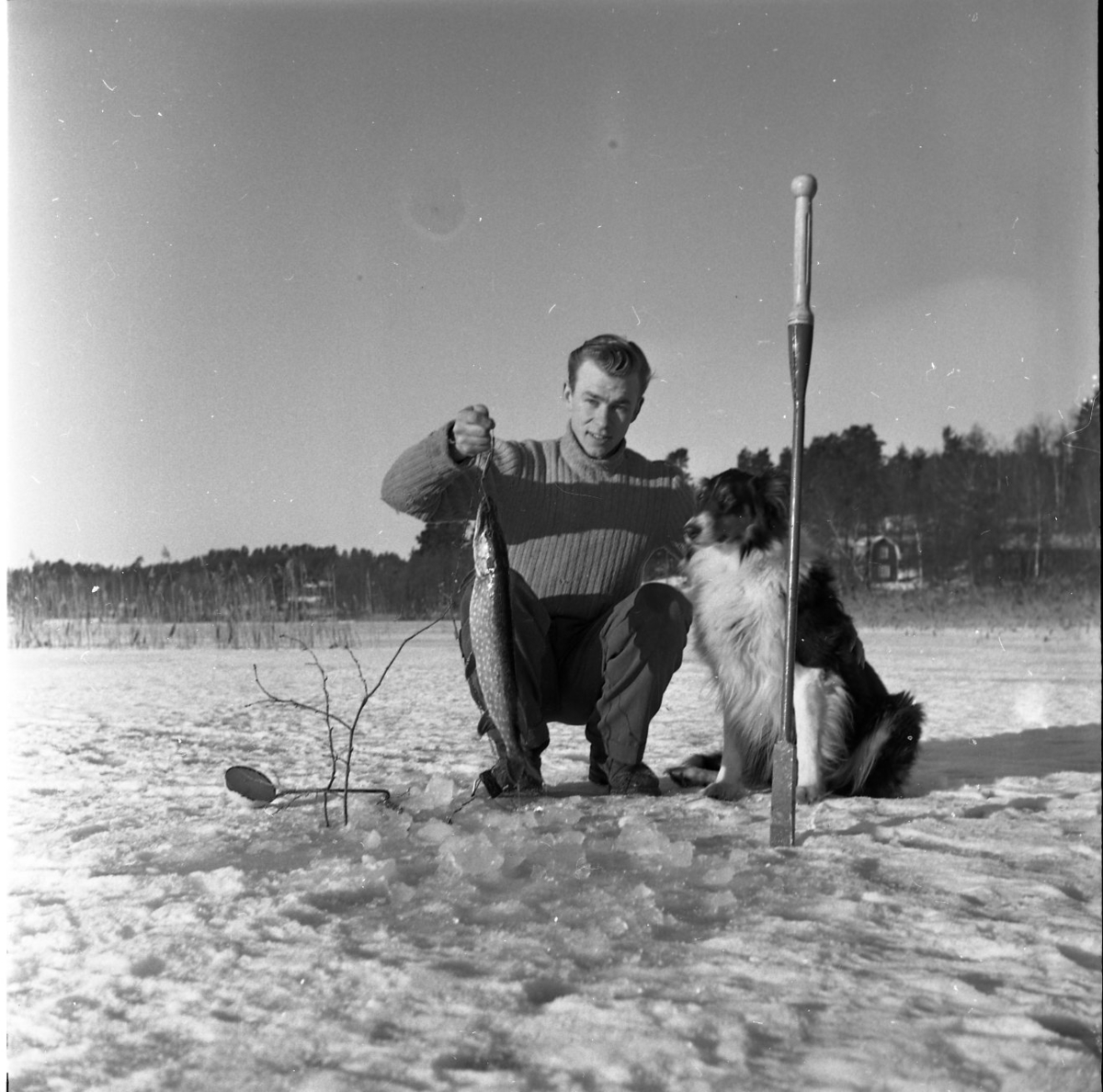 En ung man i ribbsticka tröja och grova kängor sitter på huk på isen för vinterfiske. Ett spett står i isen intill honom. Han har just dragit upp en gädda som han visar upp. Hunden Pucky sitter intill.