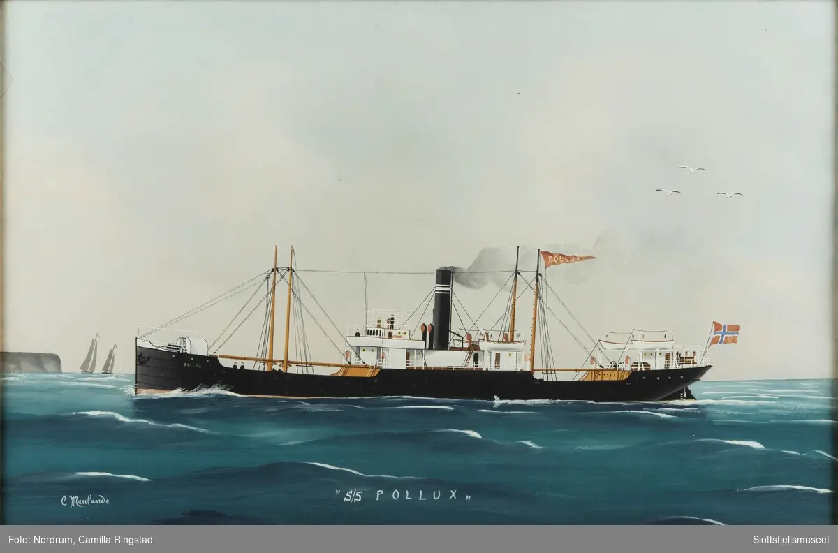 Dampskipet POLLUX av Tønsberg