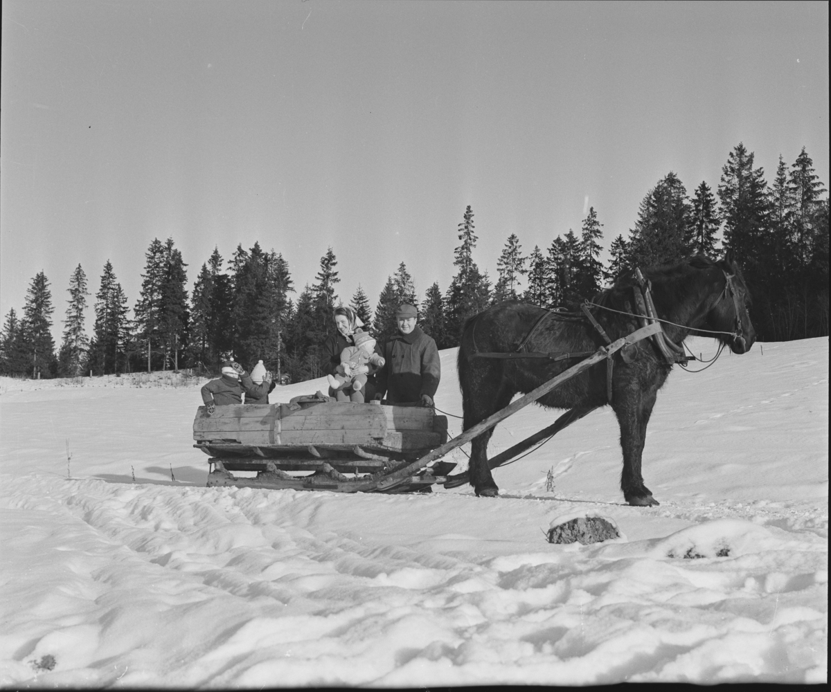 Tur til Tangen med Hest og slede vinteren 1964. Sørum i Gjerdrum.