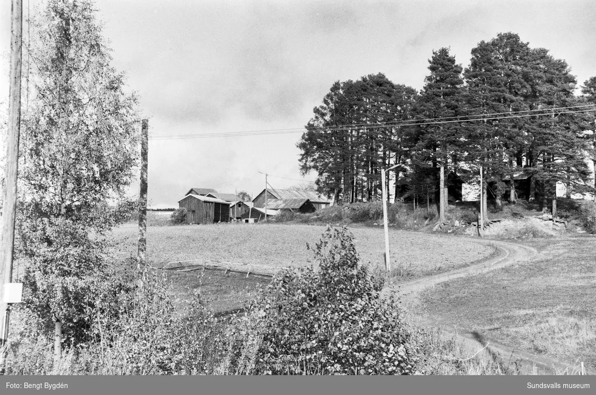 Lantgård i Sköle by i Matfors med mangårdsbyggnad och ekonomibyggnader. Skölevägen 27-29. Gården är numera (2020) delad i två fastigheter, mangårdsbyggnaden är privatbostad och större delen av ekonomibyggnader och mark är ridskola och ägs av Matfors ryttarförening.