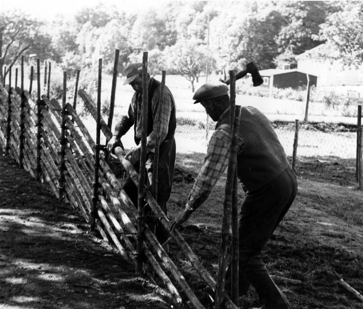 Två män bygger en skidgärdesgård i Nolhaga djurpark, ca 1965.