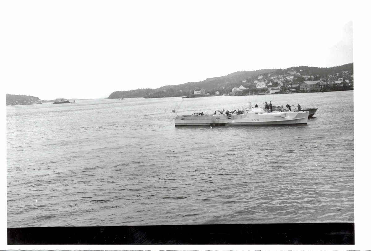 Motiv: Dansk E-båt, HDMS Ravnen, P560, ved siden av norsk Elco-klasse