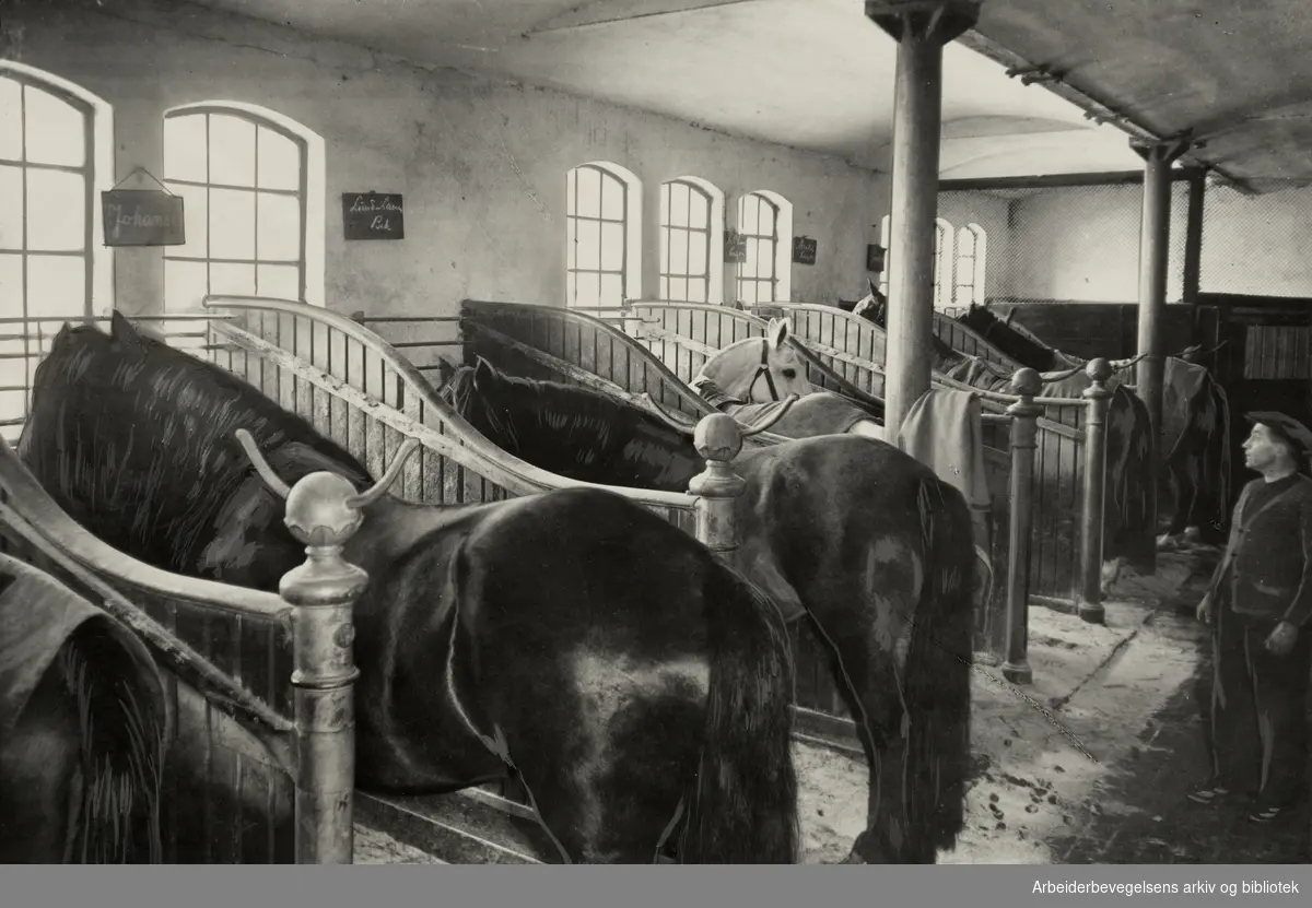 Cheval dyrehospital. 1945 - 1954