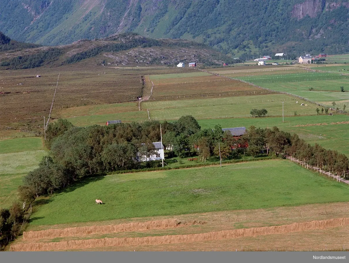flyfoto av eiendommen Bø på Reipå, eier: Liv Stene
