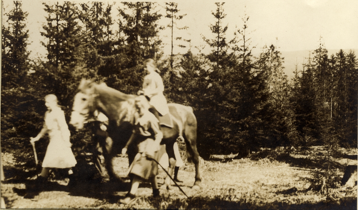 Tre jenter, den ene ridende på hest, på skogstur. Kan være de tre søstrene Egeberg, Lucy, Mimi og Karen til hest. Fotografert pinsen 1918.