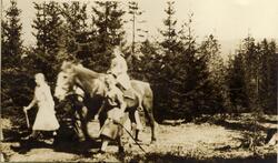 Tre jenter, den ene ridende på hest, på skogstur. Kan være d