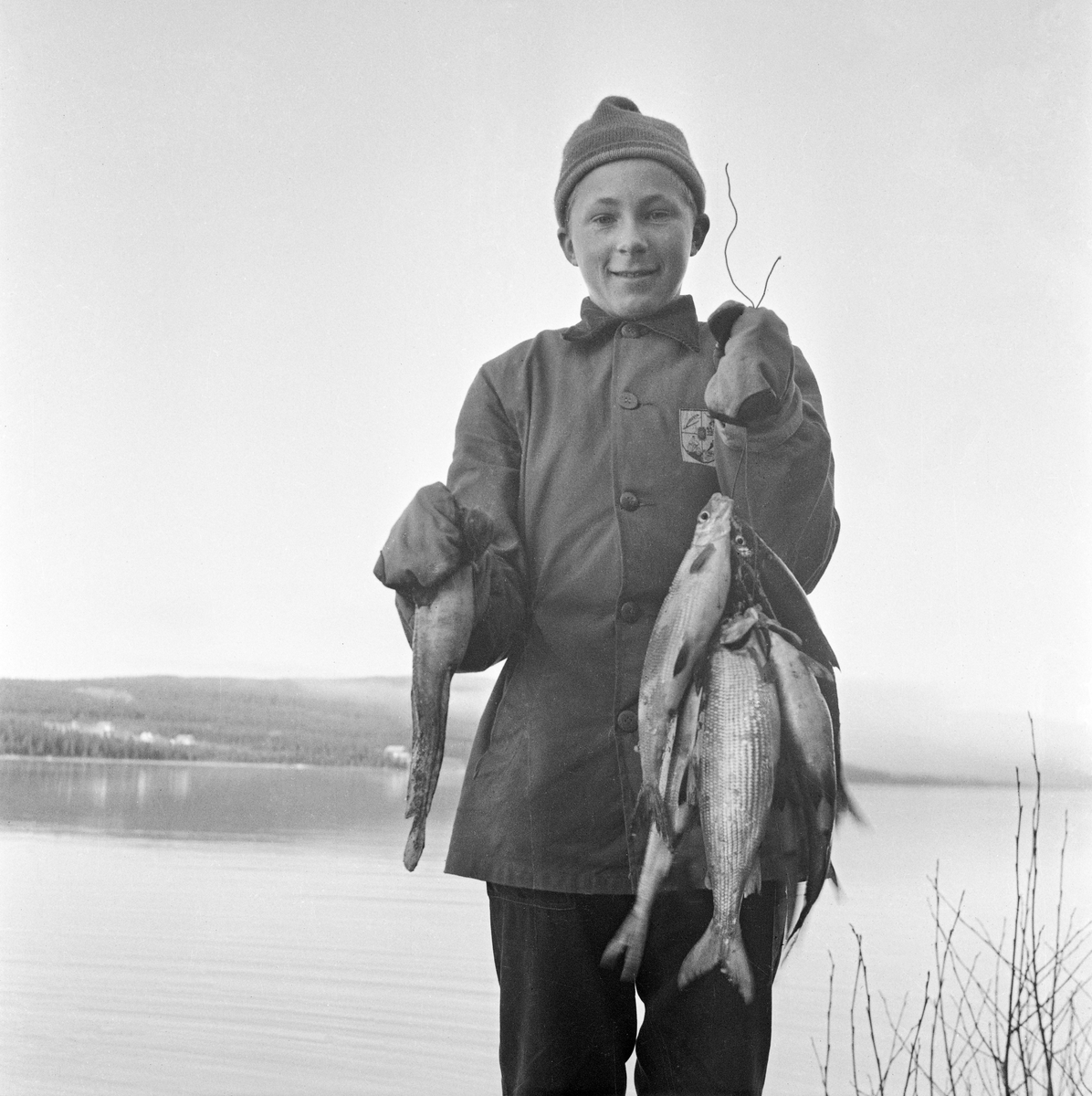 Sikfiske i Osensjøen, Hedmark. Garnfiske etter sik fra båt. Gutt holder lange og sik. Bildet er trolig tatt sent på 1960-tallet eller tidlig på 1970-tallet.