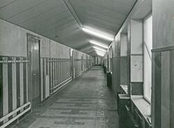 Interiør fra korridor i Midtbygget på Hauge skole, ca. 1956.
