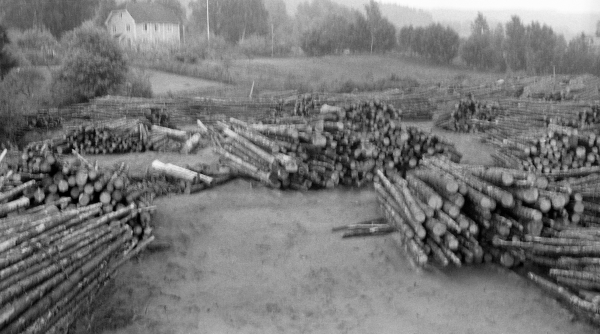 Furutangen barkeplass ved Vorma, ikke langt fra Minnesund i Eidsvoll kommune på Øvre Romerike. Fotografiet er tatt i 1965 på ei slette ved vassdraget, der sjåførene hadde lagt igjen ubarket tømmer i lunnevelter, med sikte på at stokkene skulle barkes maskinelt før det ble utislått i fløtingsvassdraget. Dette var et ledd i en strategi for å mekanisere en arbeidsprosess som ute i skogen, på kalde vinterdager og med barkespade som arbeidsredskap, var slitsomt og la beslag på en betydelig del av arbeidstida. Disse stokkene ble sannsynligvids matet inn i en motordrevet maskin med roterende kniver. Barkinga ble utført fordi man mente å ha erfaring for at ubarket tømmer fløt dårligere og hadde lettere for å sette seg fast på grusører i elveløpet enn barket virke.
