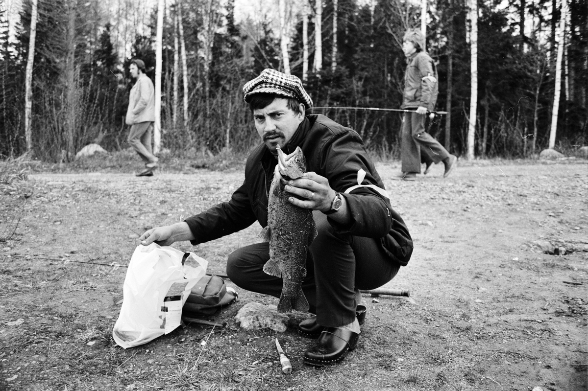 Marionfisket i Söderfors, Uppland 1973