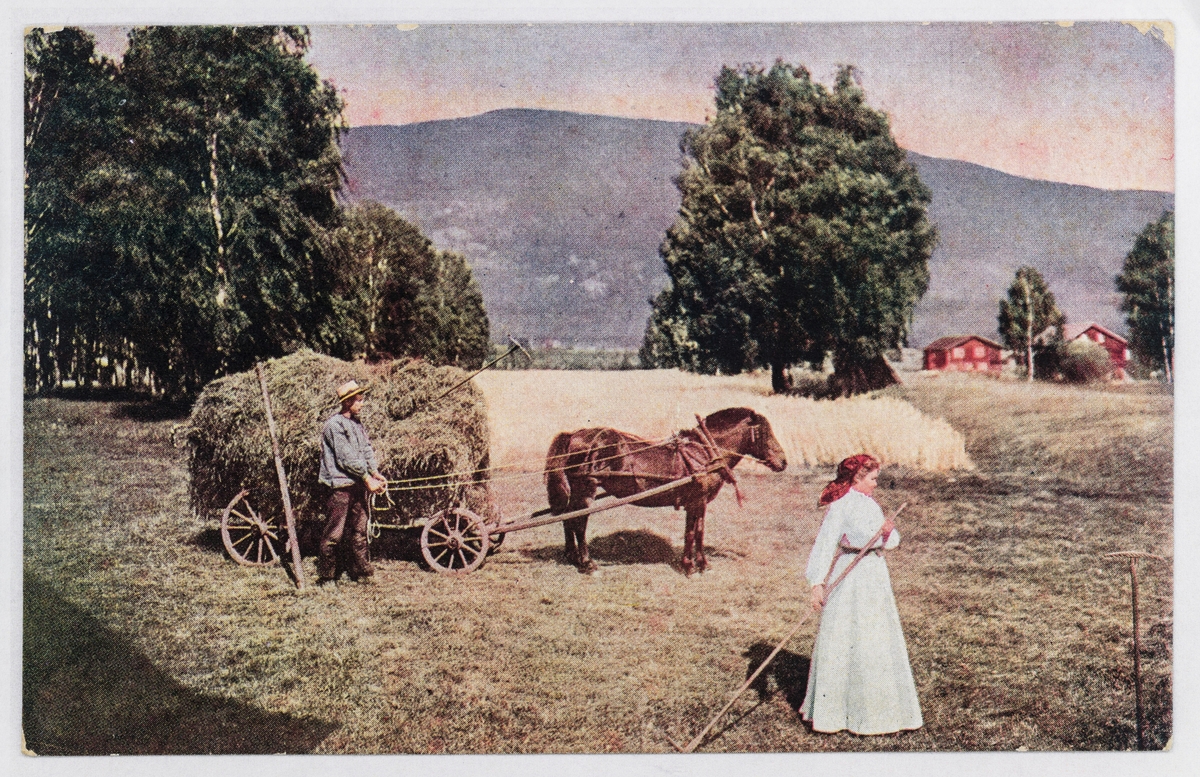 Høyonn på Østlandet - Dalane Folkemuseum / DigitaltMuseum