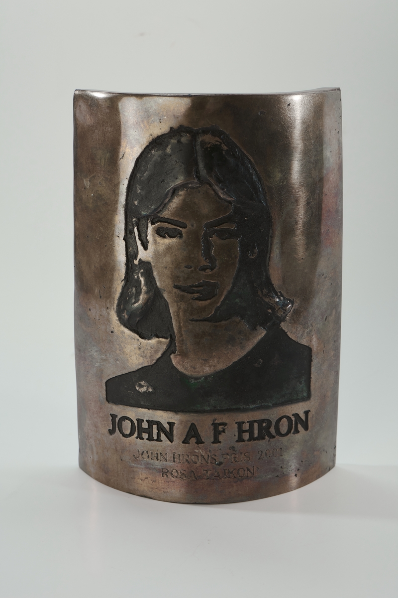Prisplakett, gjutet i brons i ett stycke. Plaketten har en rektangulär form som är välvd (konvex), baktill finns ett integrerat stöd. På framsidan finns ett porträtt samt text i relief, de nedsänkta detaljerna är svärtade, vissa partier av porträttet har ärgat. Rosa Taikon tilldelades John Hrons pris år 2001, som instiftades till minne av John Hron (1981-1995), som dödades av nynazister, 14 år gammal år 1995.