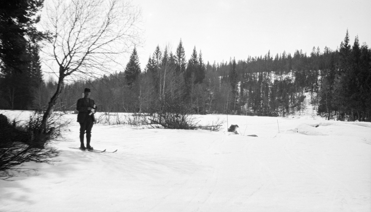 Skiløper ved Blankgrytbrottet i Atna-vassdraget i Stor-Elvdal en seinvinterdag i 1923.  Skiløperen er iført nikkers, mørk jakke og mørk skjoldlue.  Han holder en kvit gjenstand i hendene.  Skiløperen står under ei bjørk til venstre i bildet.  Ryggsekken og skistavene hans står i snøen ved elvebredden, noen meter unna.  I bakgrunnen en elvebakke med glissen barskog.  