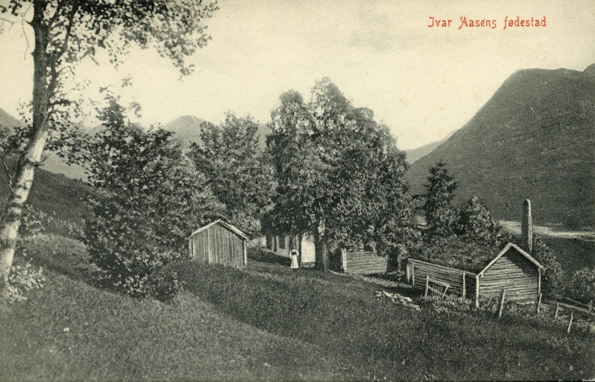 Fotografi av Ivar Aasen sin fødestad i Ørsta på Sunnmøre. Fotoet dannar motiv til eit prospektkort med pris 1,50 kr. Fotografen er A. O. Hovden. Det fysiske eksemplaret har måla 13,5 x 8,5 cm.