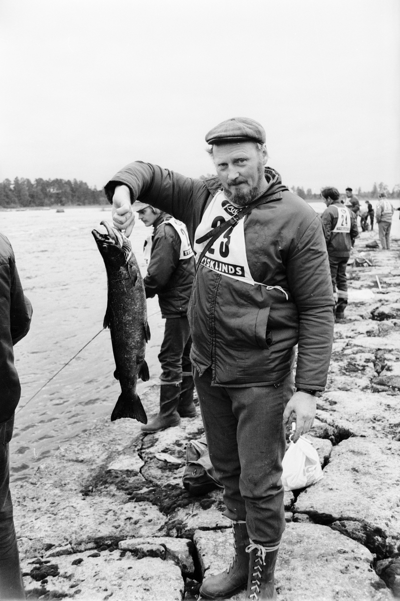 Lars Karlsson visar upp sin fångst av lax vid fisketävling i Storforsen, Dalälven
