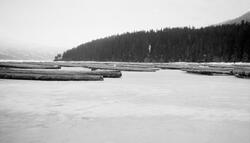 Fløtingstømmer, levert i flakvelter på isen på Storsjøen i R