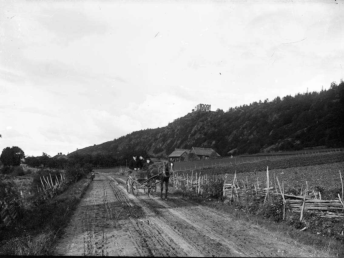 Häst och vagn med en man och två barn, på landsvägen i Uppgränna på väg mot Gränna. Vägen kantas av gärdesgårdar. Brahehus syns på höjden till höger och nedanför närmare i bild eventuellt Södra Toragården.