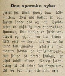 Hedemarkens Amtstidene 08. oktober 1918 (Foto/Photo)