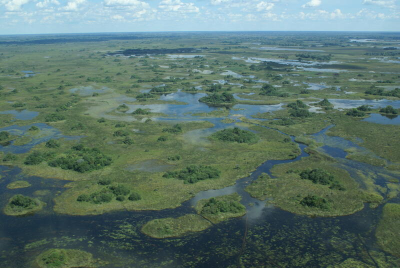 Okavangodeltaet ligger nordvest i Botswana i Afrika og er verdens største innlandsdelta. Foto: Justtin Hall (Foto/Photo)