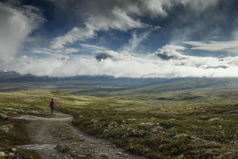 Kongevegen over Dovrefjell. Foto: Matti Bernitz (Foto/Photo)
